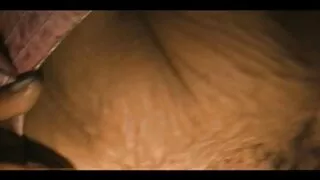 Dziewczyna włożyła palce sex analny filmiki głęboko w cipkę i skończyła
